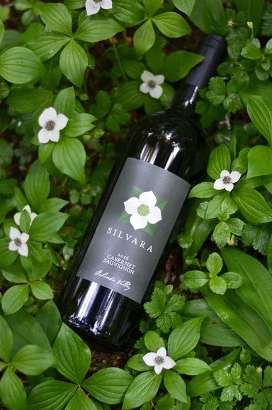 A bottle of Silvara 2016 Cabernet Sauvignon wine lying among green leaves and white flowers outdoors.