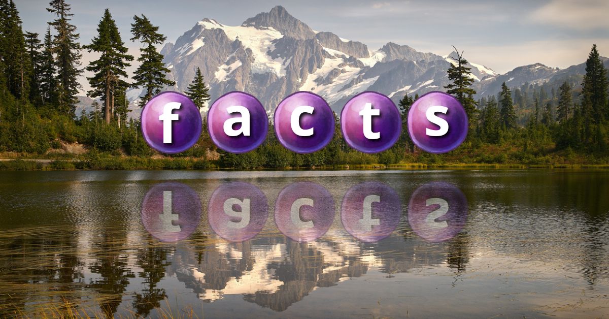 Facts About Washington Wines Silvara Cellars