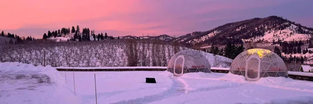 Two transparent geodesic dome tents set up on a snow-covered ground with a pink and purple sunset sky and snowy hills with trees in the background.