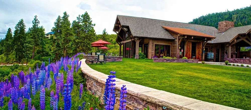 Purple lupines along the curved stone wall of the Silvara Cellars terrace, with the lawn, red patio umbrellas and the timber tasting room behind