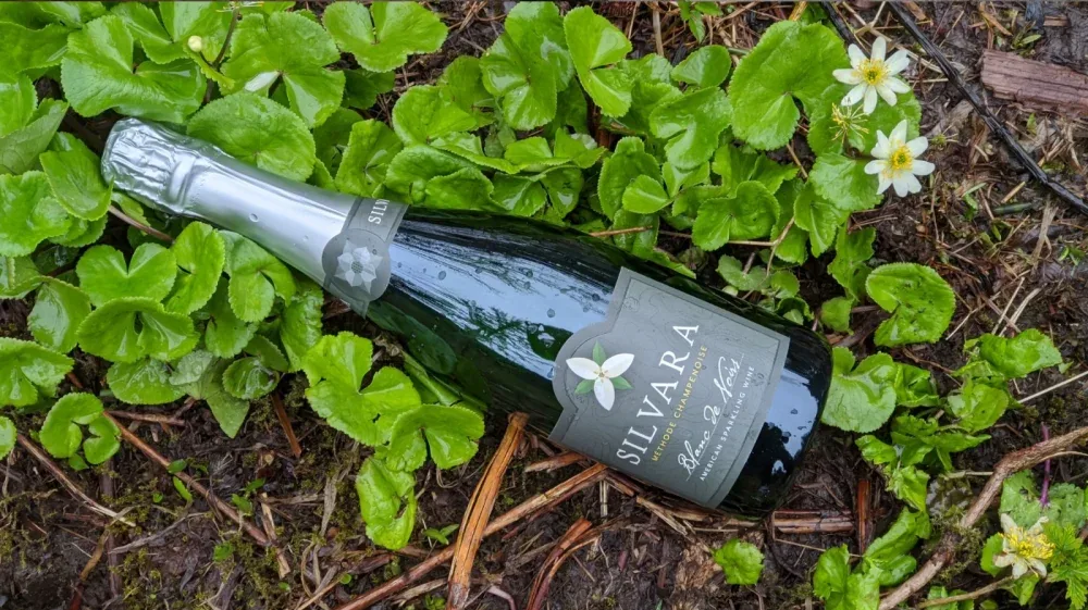 A bottle of Silvara Blanc de Noirs sparkling wine resting on green leaves and damp soil outdoors.