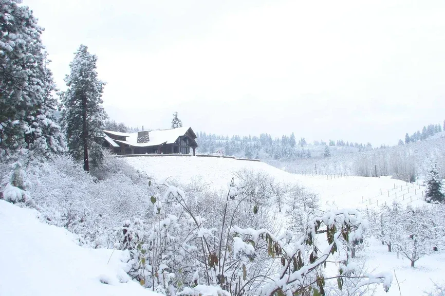 Snow-covered landscape with a wooden building atop a hill surrounded by frosted trees and bushes under a cloudy sky.